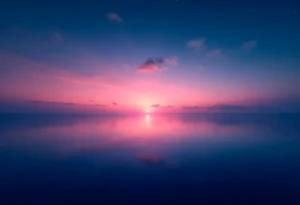 Escorting and Camming